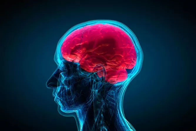 داروهای درمان سرطان سر و گردن